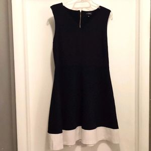 The Limited Navy Blue Dress
